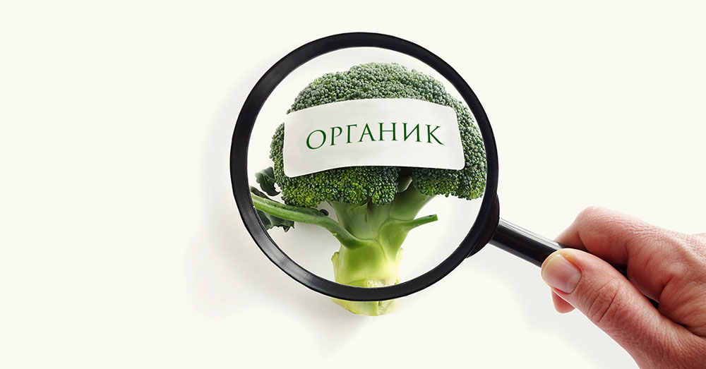 Закон об органическом земледелии в Беларуси может быть принят в первом полугодии