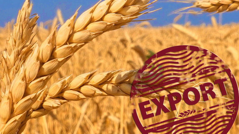 Экспорт сельскохозяйственной продукции по итогам года планируется увеличить на 7,1%