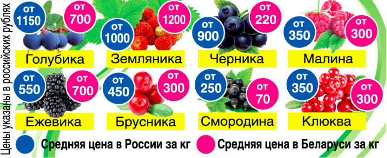 Цены на ягоды