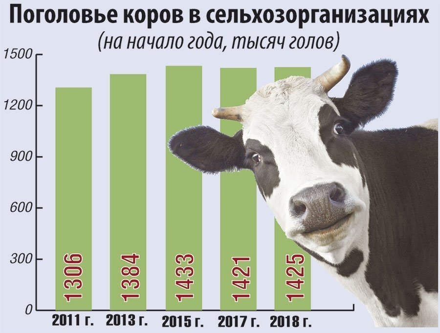 Рост молочного. Генетический потенциал коров\. Плюсы молока. Молоко высота. Рост молока.